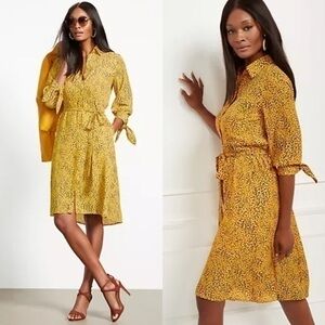 NWT NY&Co Yellow Belted Shirtdress
